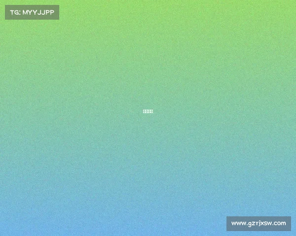 随云科技 随云科技